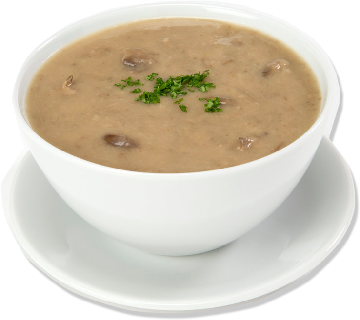 Centra Mushroom Soup - Mushroom Soup Transparent (800x800), Png Download