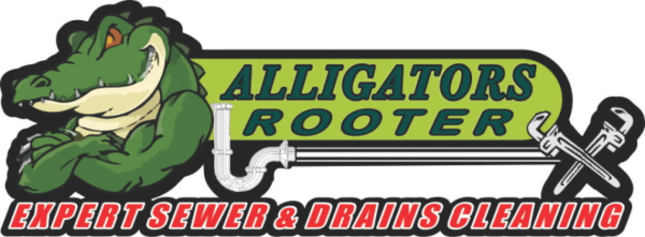 Alligatorsrooter - Com - Cartoon (1260x464), Png Download