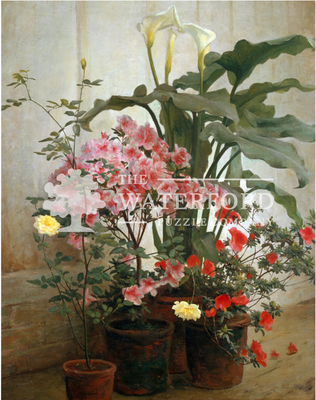 Side Of A Greenhouse (800x800), Png Download