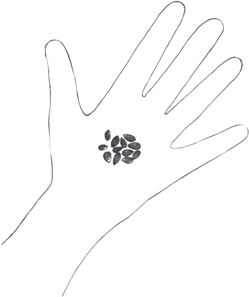 Sowing The Seeds Project Pico (750x750), Png Download