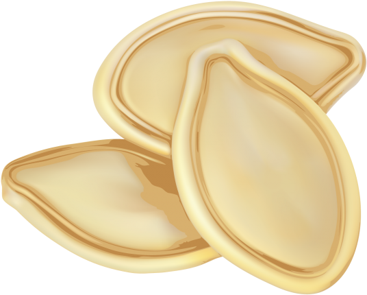 Pumpkin Seeds - Pumpkin Seed (866x650), Png Download