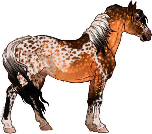 Ss Lost In A Fake Reality - Seal Bay Horse Sabino (835x557), Png Download