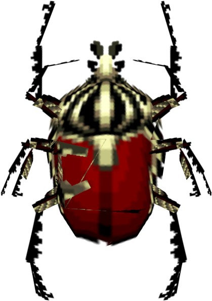 Download Zip Archive - Tiger Beetle (750x650), Png Download