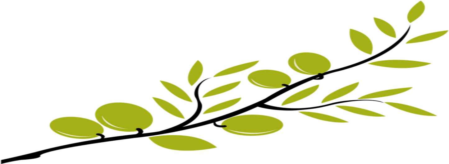 Although Markedly Chinese, The Symbol Is Quite Familiar - Olive Tree Branch Clip Art (1491x553), Png Download