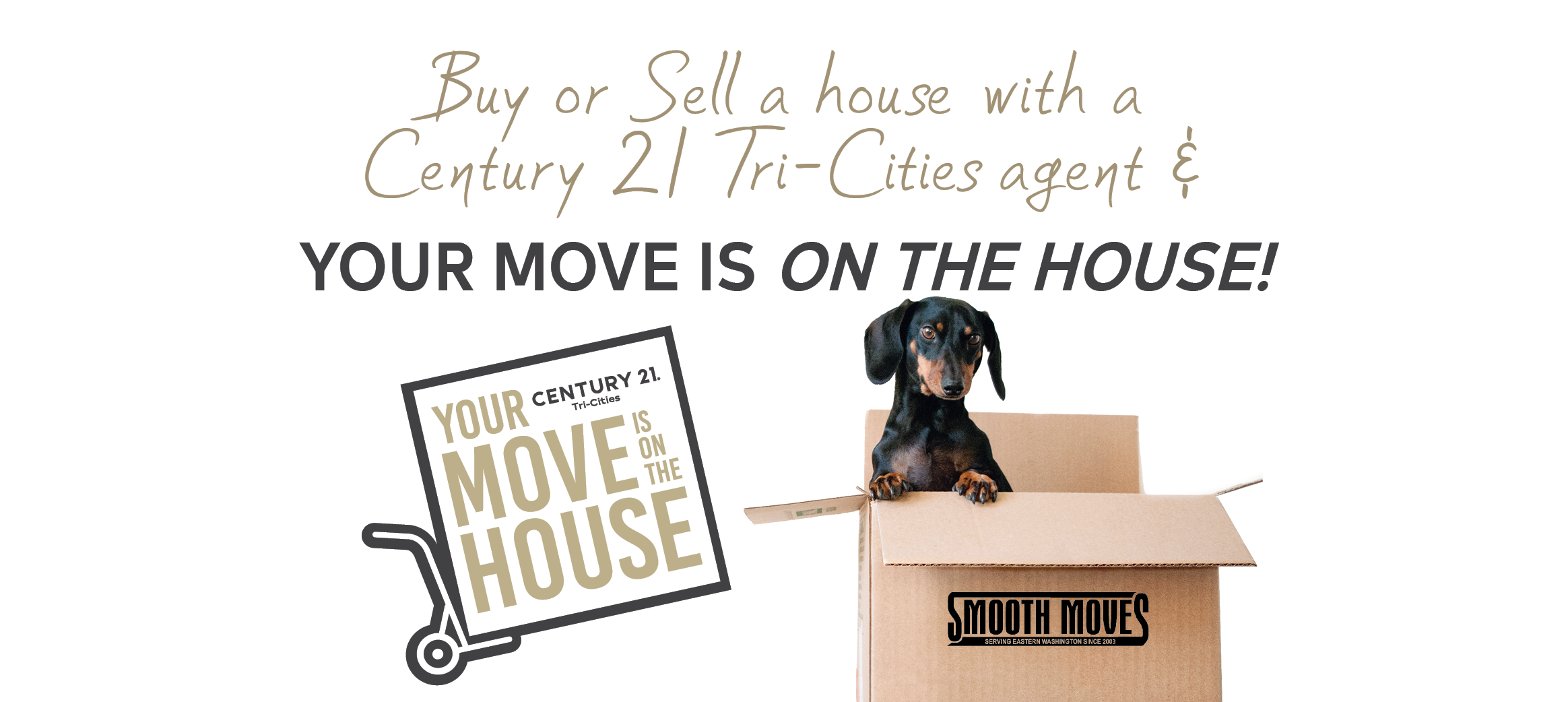 City - Dachshund (5208x1042), Png Download