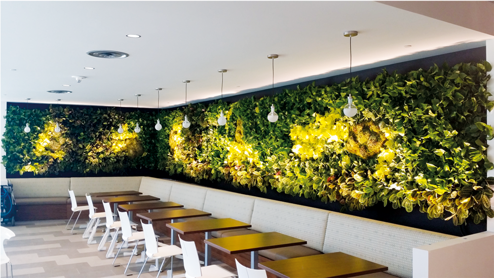 Living Wall 05 - Green Wall (1000x1000), Png Download
