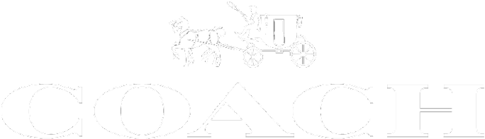 All Is Amazing Client 08 Coach - Diagram (1000x999), Png Download