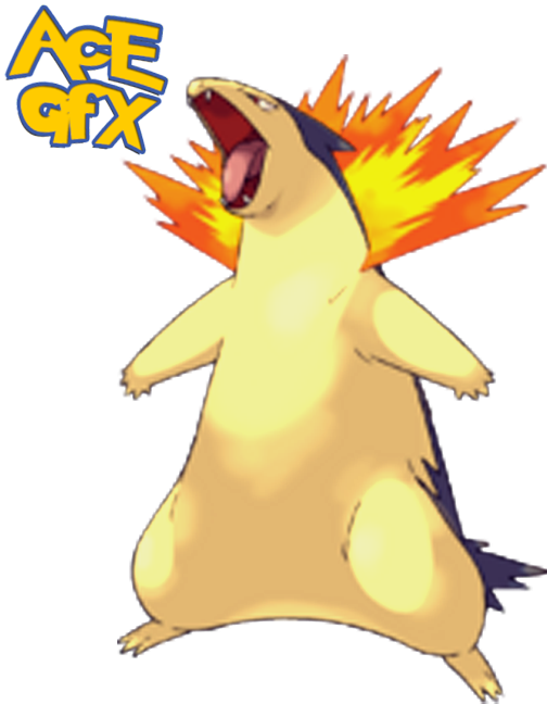 Photo Typhlosion - Cyndaquil Evolve (504x648), Png Download