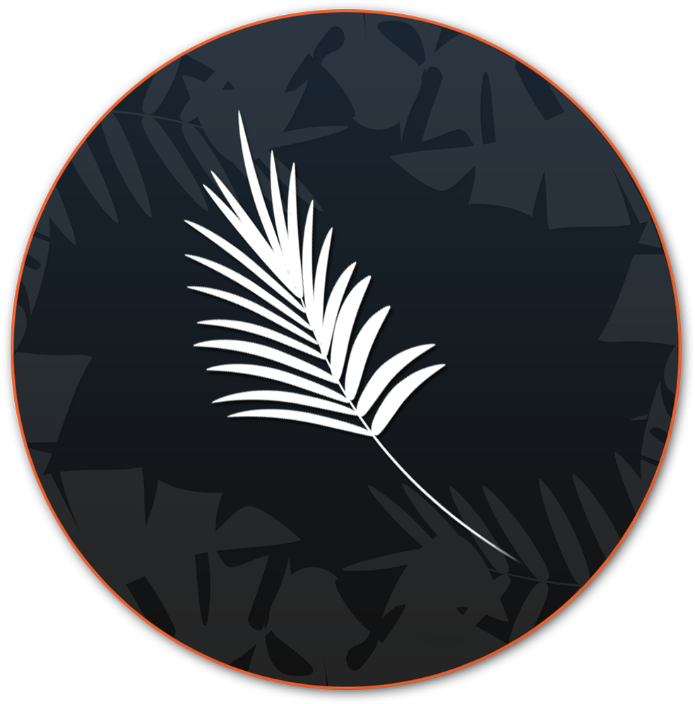 3 - Project Life Arma (1000x1000), Png Download