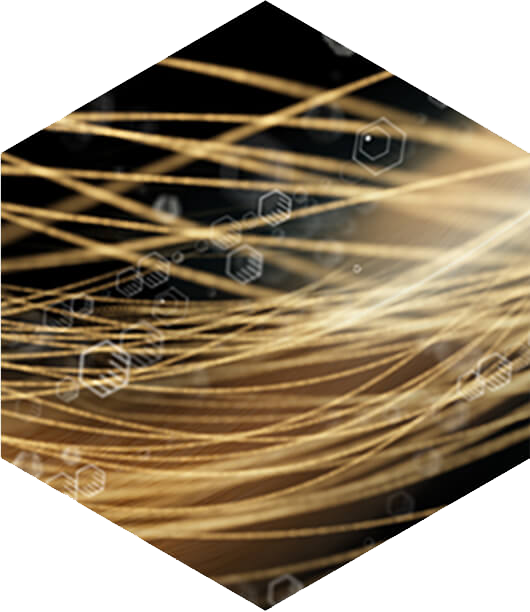 Causes Of Hair Loss In Women - Hair (530x612), Png Download