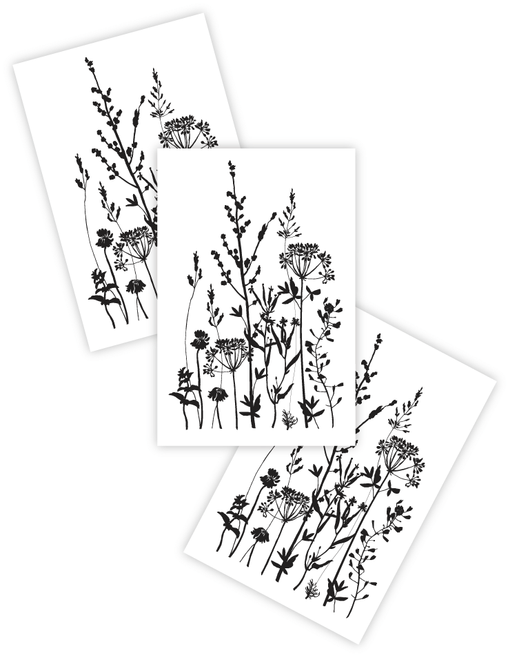 Wild Herbs - Herb (811x1081), Png Download
