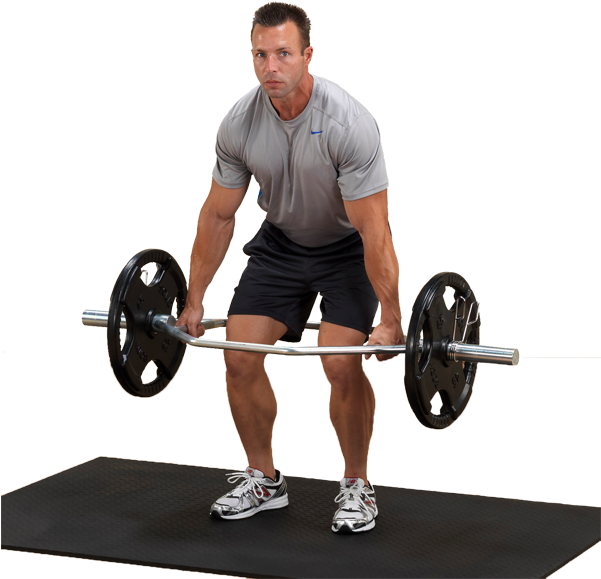 Olympic Shrug Bar - Body Solid Olympic Shrug Bar (600x600), Png Download