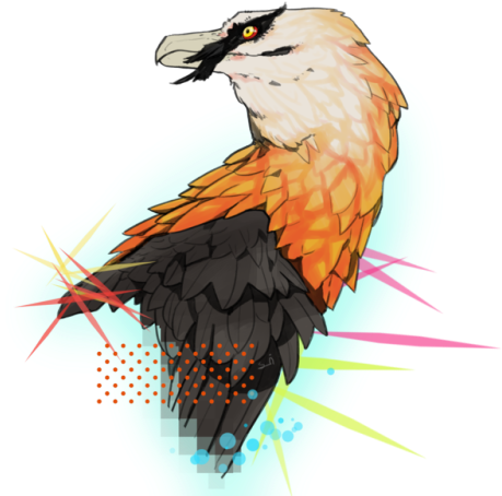 My Fifth Thousands Million Trillion Bearded Vulture - Transparent Bird (500x485), Png Download