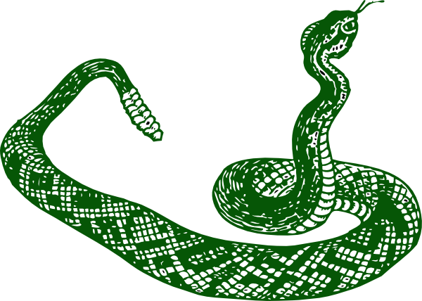 Anaconda Clipart Jungle Snake - Serpiente Blanco Y Negro (600x428), Png Download