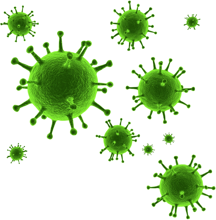 Virus Transparent - Virus Png (800x794), Png Download