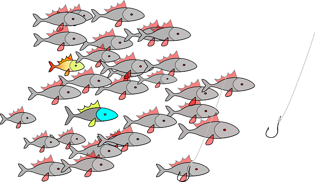 Fishing, Fishes, Swarm, Shoal, Fish Hook, Fishhook - School Of Fishing Shower Curtain (640x370), Png Download