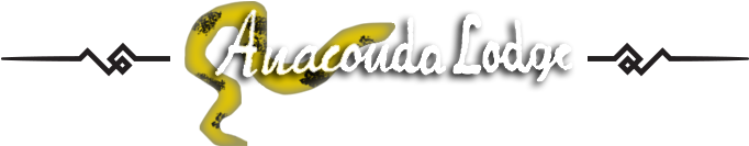 Decoration-1 - Graphic Design (800x200), Png Download