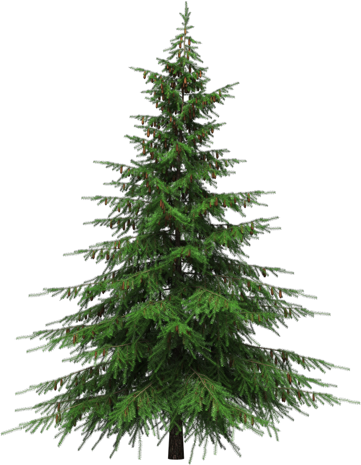 Real Christmas Tree Png - Natural Cut Artificial Christmas Trees (925x1000), Png Download