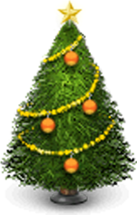 Nordmann, Douglas And Noble Fir Christmas Trees Wholesale - Christmas Tree Lot Png (447x447), Png Download