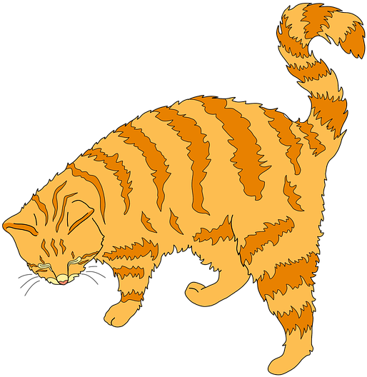 Cat (640x640), Png Download