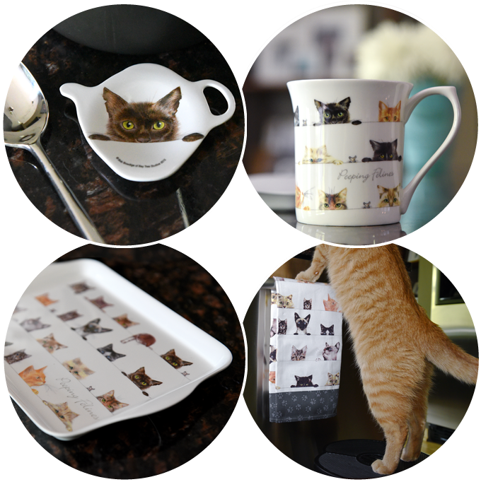 The Attention To Detail In Each Small Kitty Is Really - Tabby Cat (691x691), Png Download