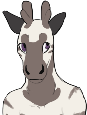 I Didn't Forget To Upload Shh - Giraffe (500x500), Png Download