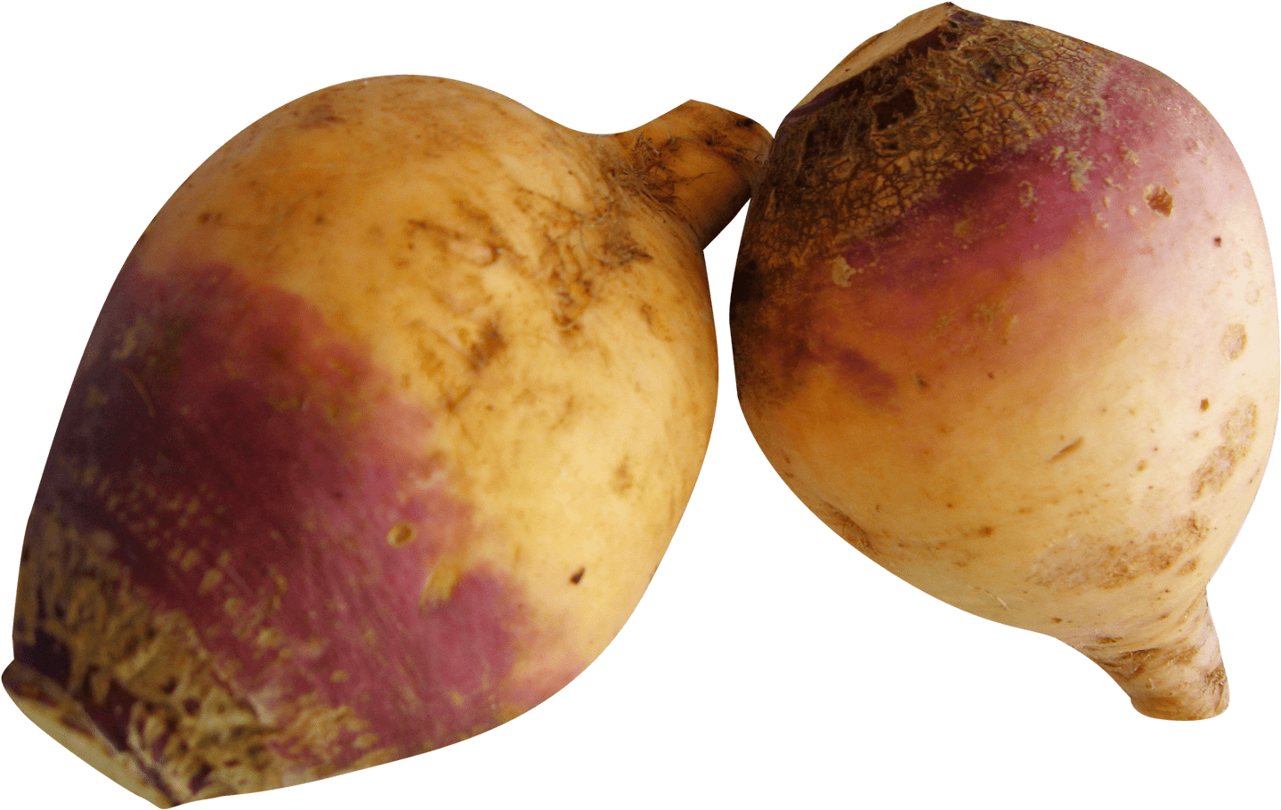 Vegetables - Rutabagas Png (1539x991), Png Download