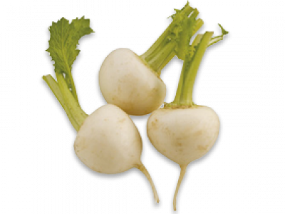 Turnips - Leaf Vegetable (400x300), Png Download