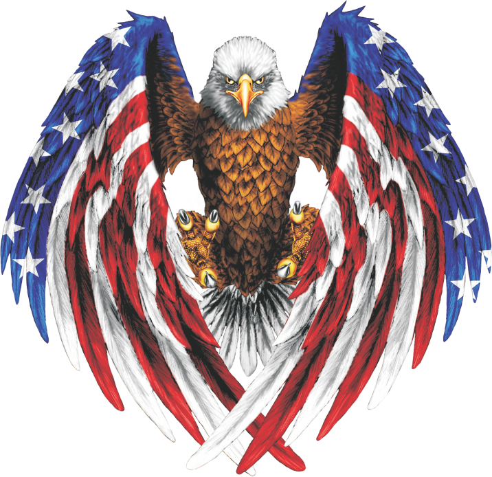 Eagle Logo - American Flag Eagle (716x694), Png Download
