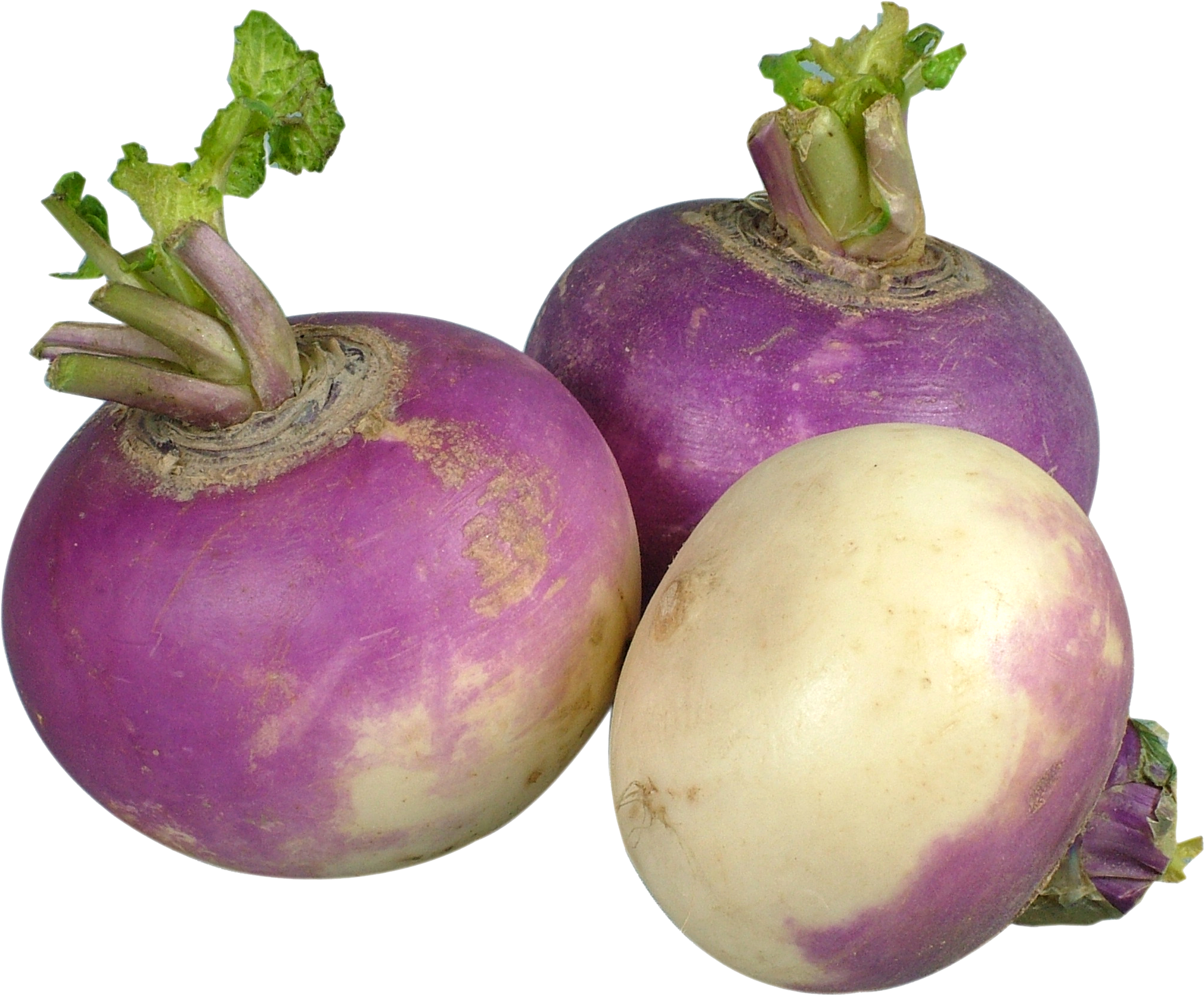 Turnips - Easy Yummy Ketogenic Crock-pot Recipes: Mouth-watering (2848x2136), Png Download