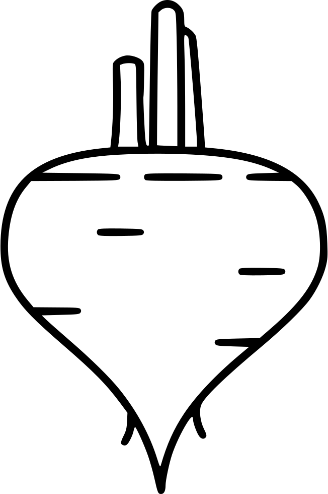 Beet Beetroot Turnip Comments - Beetroot (652x980), Png Download