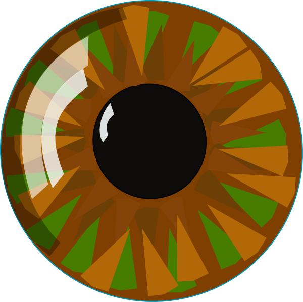Brown Blue And Green Eye Vector Clip Art - Eye (600x599), Png Download