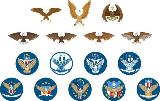 Eagle Logo Icon Animal Design Emblem Logot - โลโก้ นก อินทรีย์ (540x340), Png Download