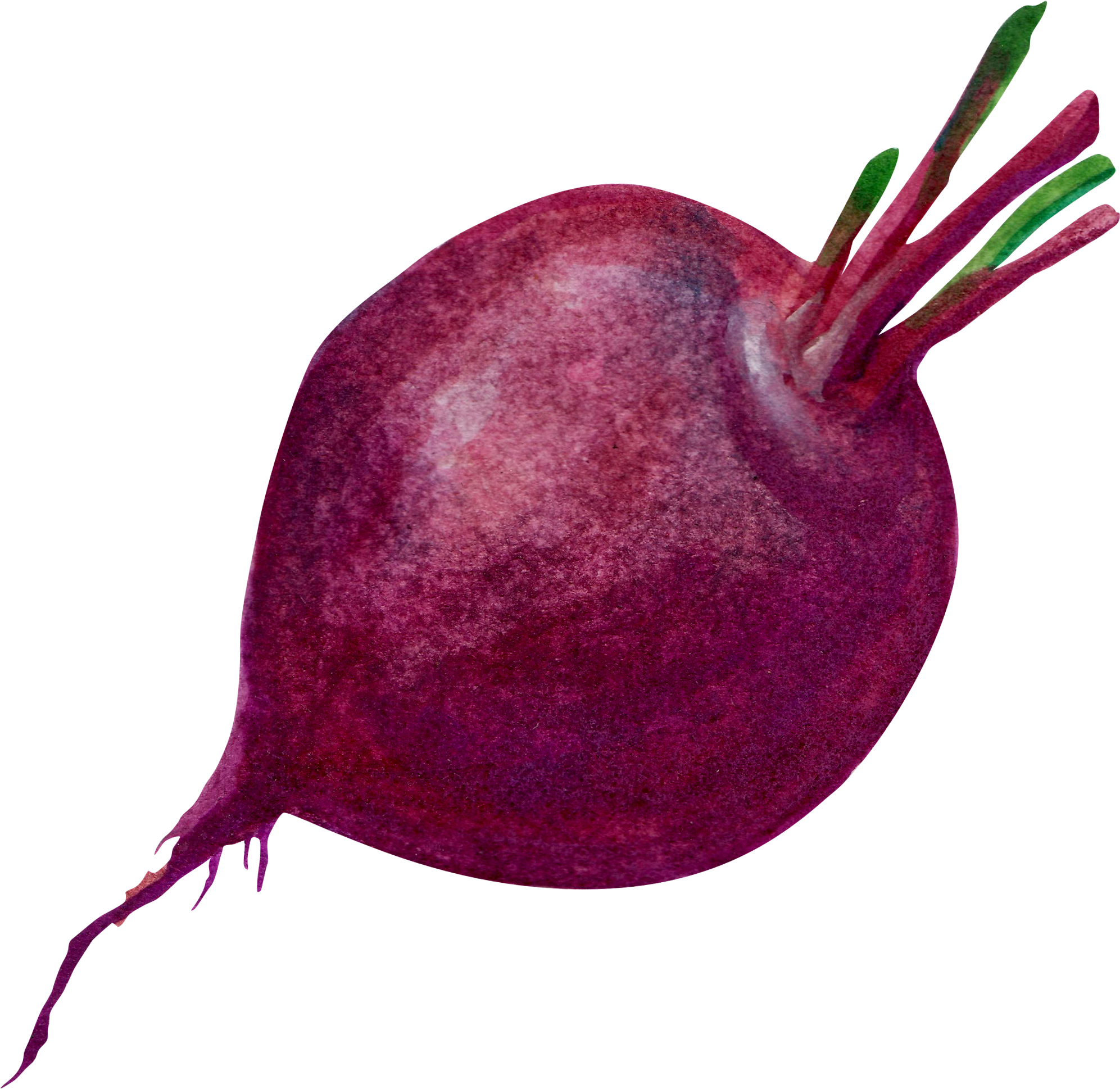 Purple Common Beet Transprent - Purple Beet (2300x2000), Png Download