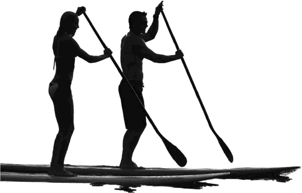 Learn To Stand Up Paddle Board On 30a's Rare Coastal - Stand Up Paddle Board Logo (1024x665), Png Download