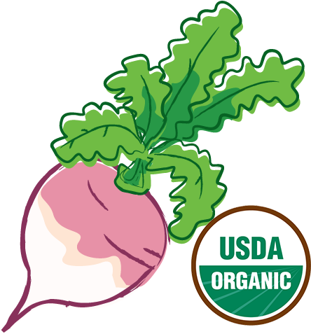 Organic-turnip - Alteya Organics Alteya's Certified Organic Bulgarian (500x500), Png Download