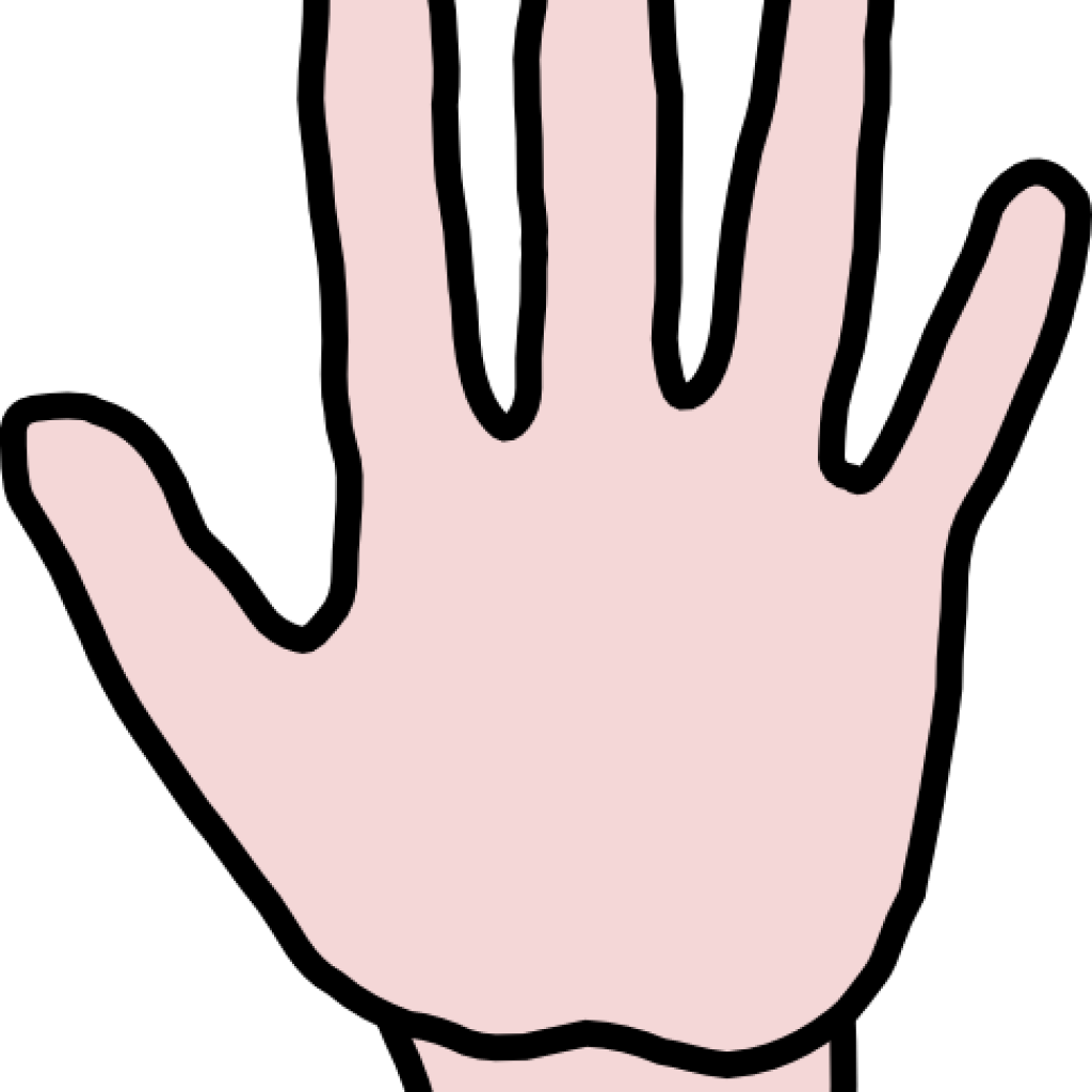 Free Hands Camera Hatenylo Com Clip Art - Clip Art (1024x1024), Png Download