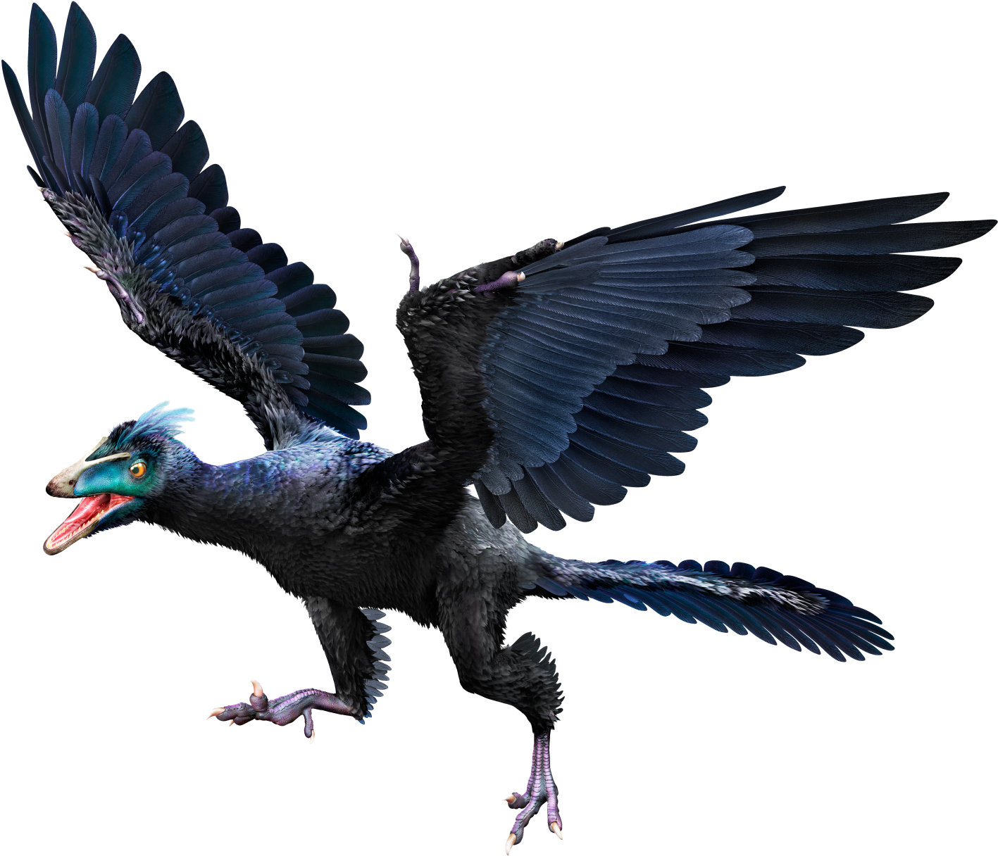 Archaeopteryx Hmie72 - Archaeopteryx Archeopteryx (1440x1247), Png Download