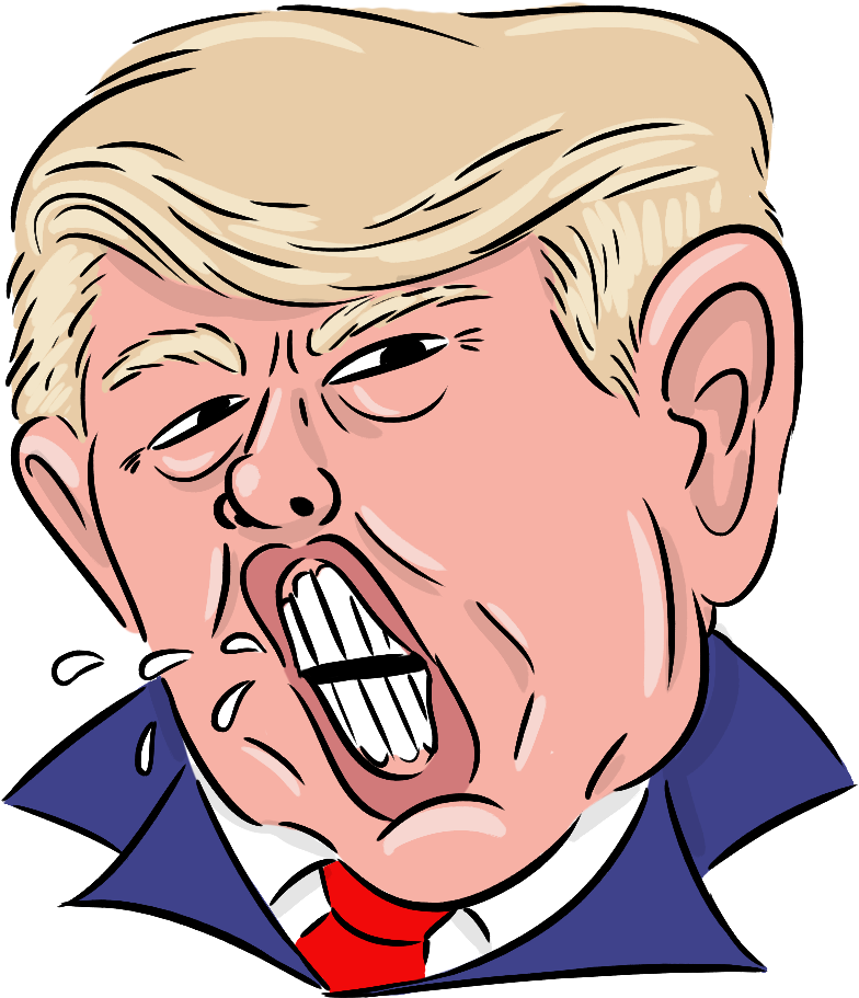 Trump - Cartoon (1000x1000), Png Download