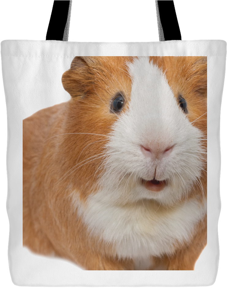 Guinea Pig Tote Bag - Guinea Pig Destiny 2 (1024x1024), Png Download