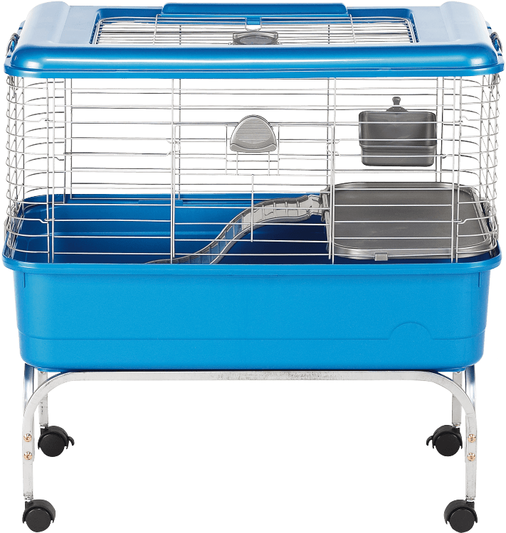 Kaytee Habitat Defined Guinea Pig Habitat - Guinea Pig Cages Small (750x750), Png Download