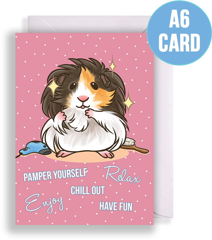 Longhaired Guinea Pig Being Pampered Birthday & Other - Guinea Pig (801x801), Png Download
