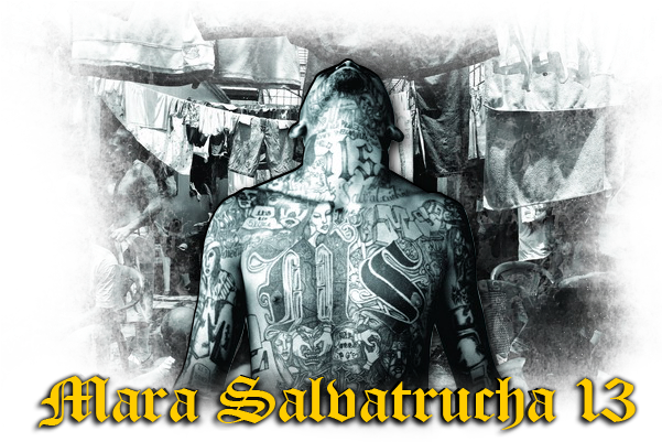 Nesto Mnogu Staro - Ms 13 Samp (695x450), Png Download