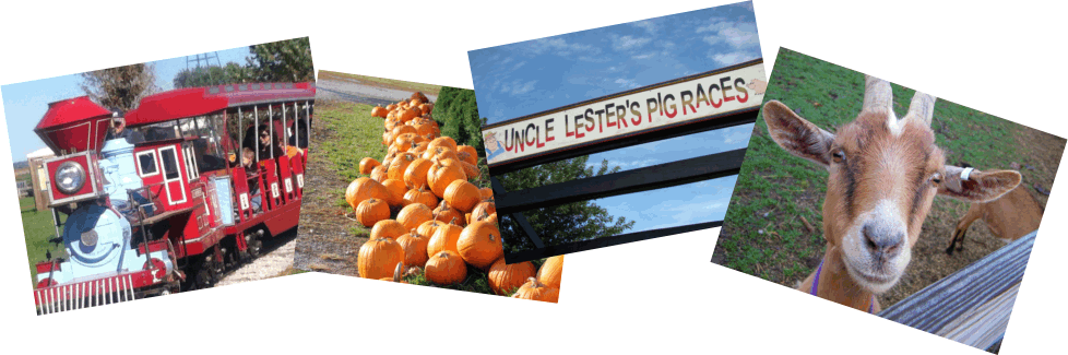 Signage (978x325), Png Download