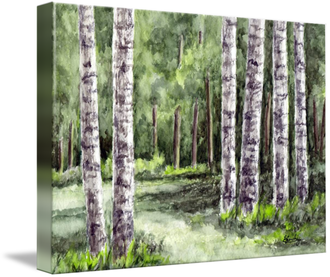 Birch Tree Watercolor Landscape - Watercolor Painting (650x546), Png Download