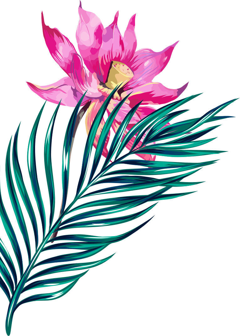 Water Lily (766x1070), Png Download