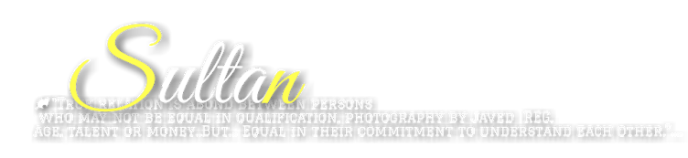 Sultan Png - Sleeve (1600x1200), Png Download