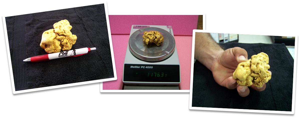Gold Nugget Found With Gpx - French Fries (1198x473), Png Download