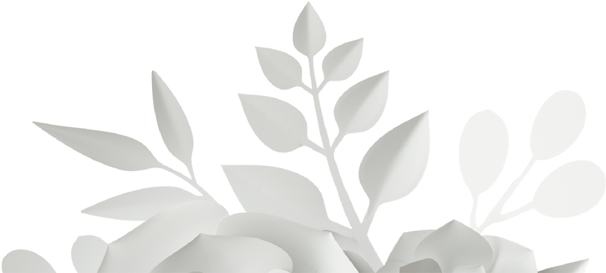 Giset Wedding, Invitaciones De Boda, Diseño De Boda - Magnolia (1500x638), Png Download