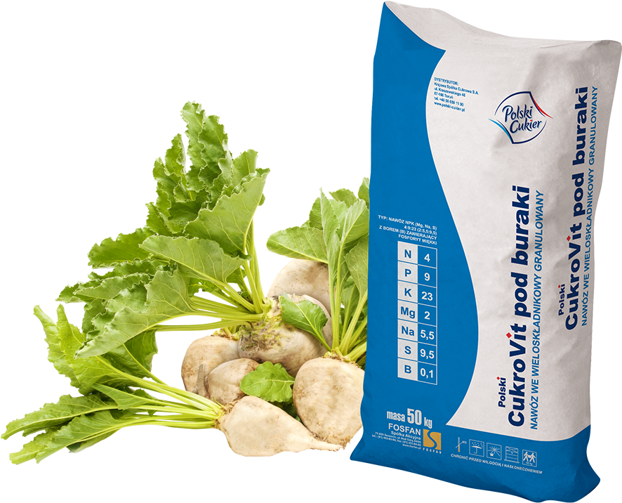 Exclusive Distributor - - Sugar Beet (1000x1000), Png Download